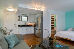 pet friendly by owner vacation rental, dog friendly by owner vacation rental in waikiki hawaii